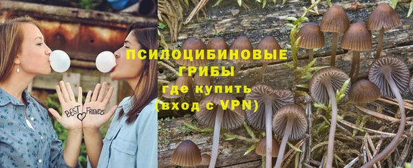 2c-b Надым