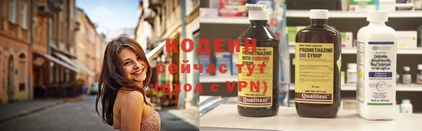 2c-b Надым